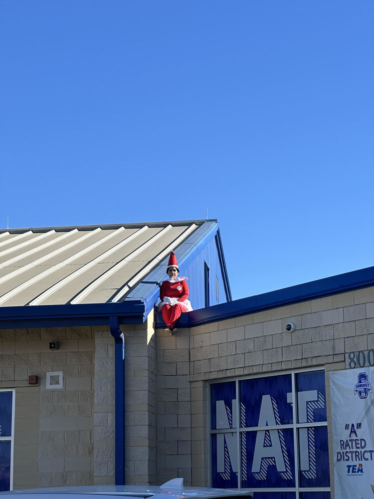 ​ Elf on… the roof?